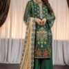 Pakistani chiffon dress