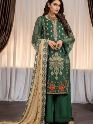 Pakistani chiffon dress