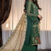 Pakistani chiffon dress