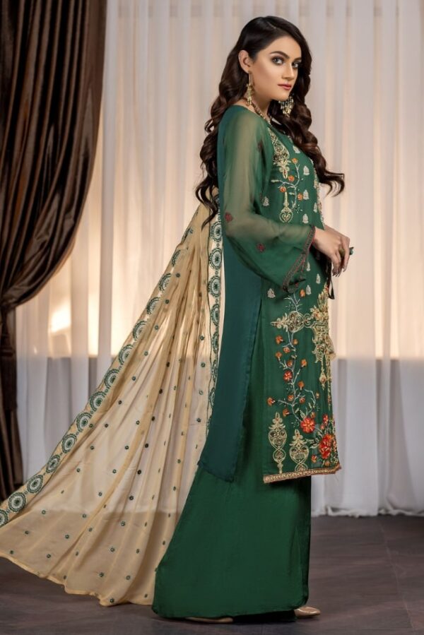 Pakistani chiffon dress