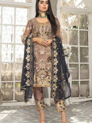 Embroidered organza suit online with price