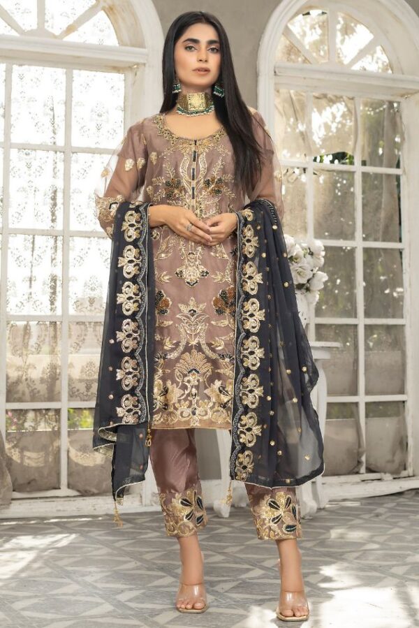 Embroidered organza suit online with price