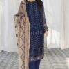 Pakistani chiffon dress