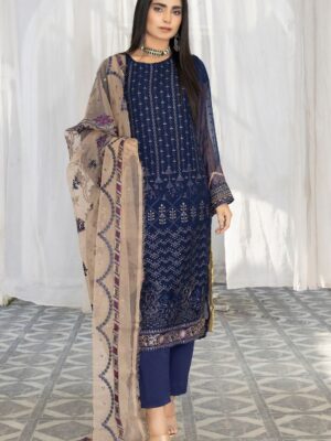 Pakistani chiffon dress